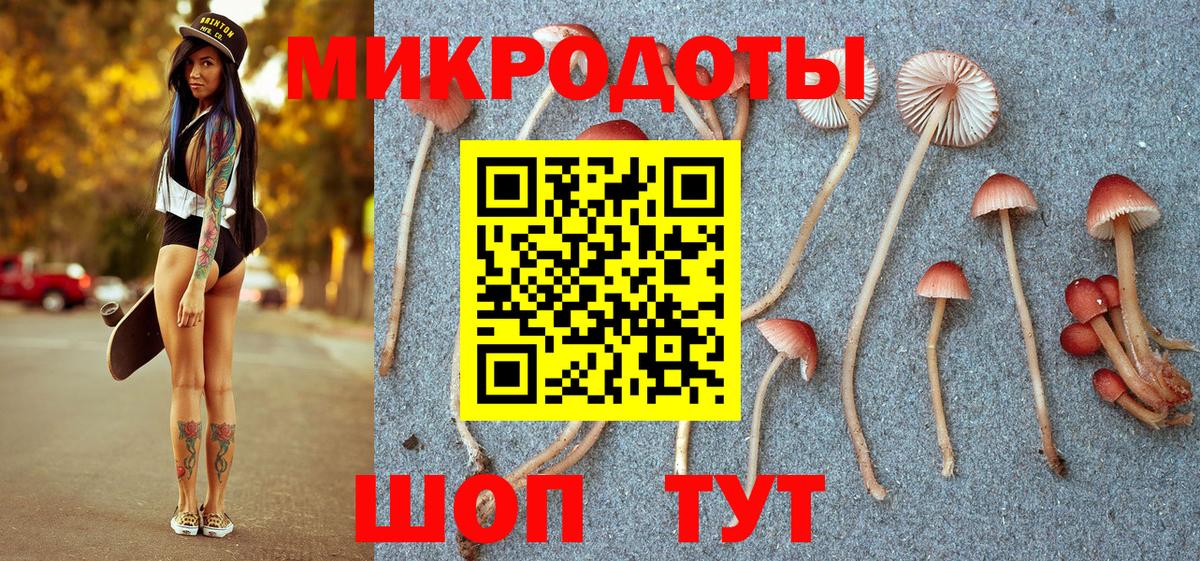 Псилоцибиновые грибы Psilocybine cubensis Саранск